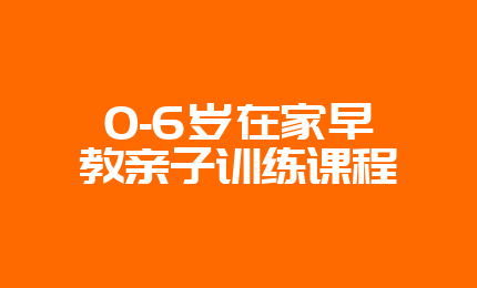 0-6岁在家早教亲子训练课程